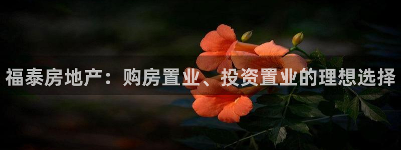 万向娱乐平台代理怎么样啊