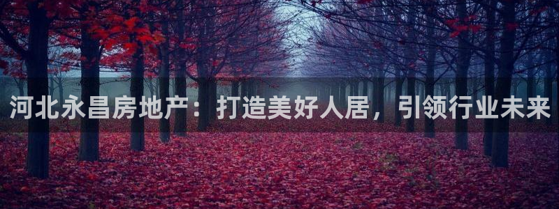 万向娱乐总代