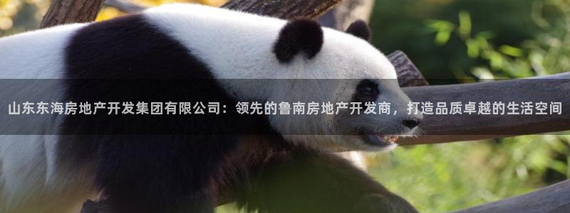 万向娱乐平台代理怎么样啊