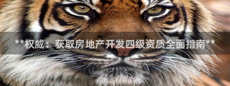 万向娱乐挂机软件