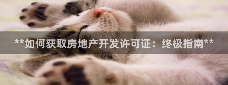 万向娱乐平台代理
