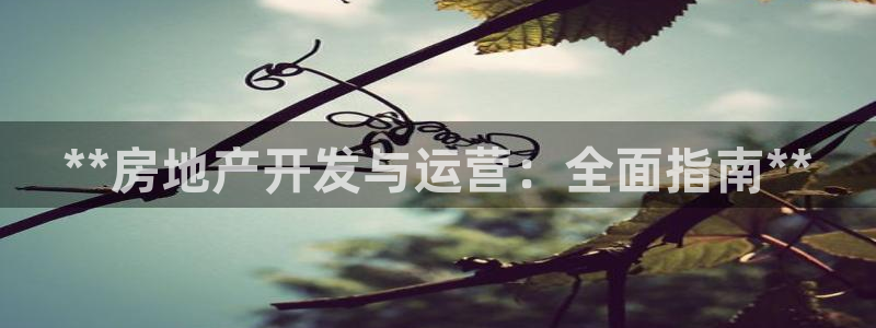 万向娱乐平台招商骗局