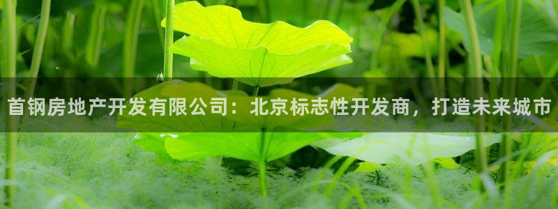 万向娱乐平台代理多少钱一个月