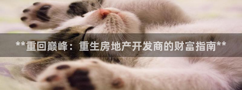 万向娱乐app下载苹果版