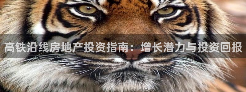 万向娱乐平台代理怎么做
