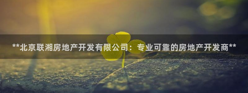 万象游戏代理