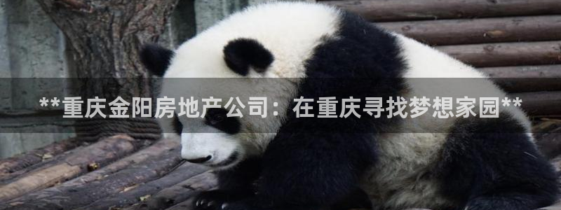 万向娱乐平台代理怎么样赚钱