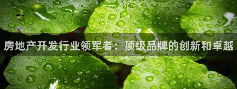 万向娱乐官网下载安卓