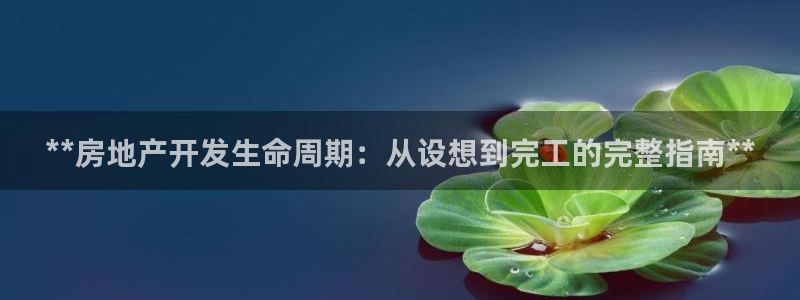 万向娱乐的494o3 主管