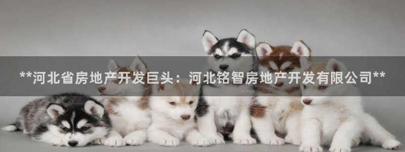万向娱乐灯333OO