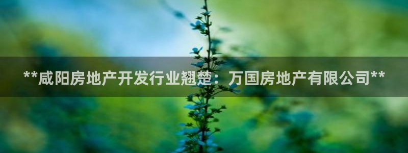 万向娱乐app下载