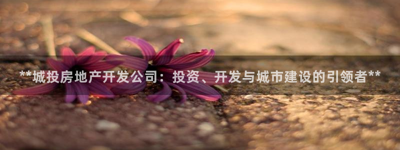 万向娱乐招商