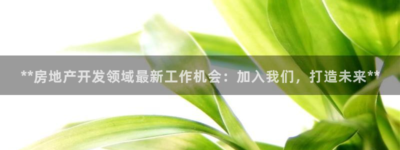 万向娱乐技术分享
