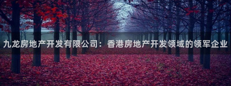 万向娱乐代理好看视频