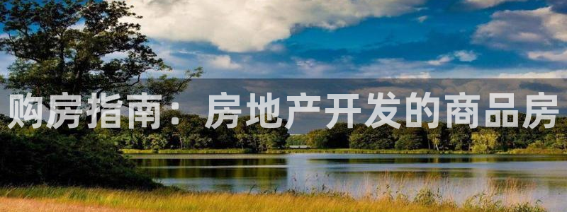 万向娱乐挂机软件