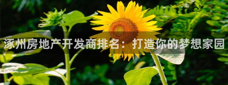 万向娱乐官网首页