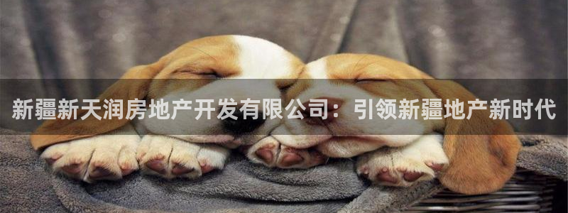万向娱乐官网下载安卓