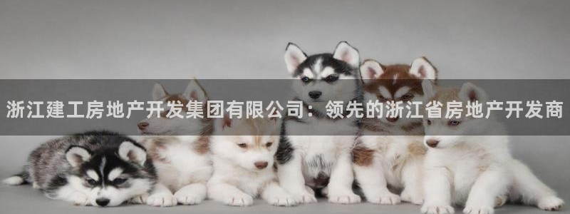 万向娱乐的494o3 主管