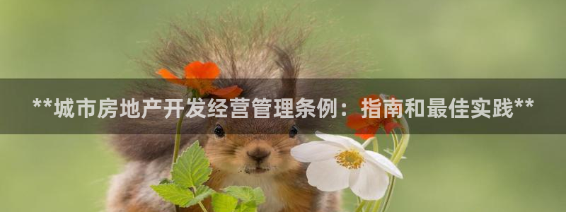 万向娱乐app下载官网