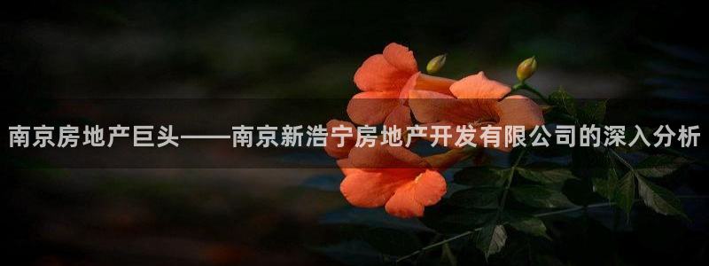 万向娱乐平台代理多少钱一个月