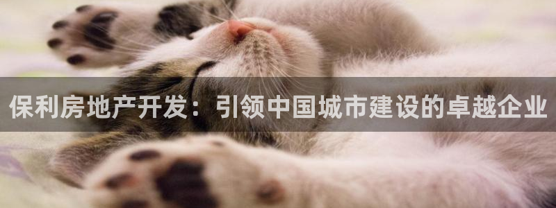 万象国际娱乐网址