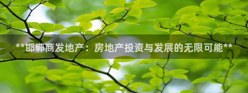 万向娱乐技术