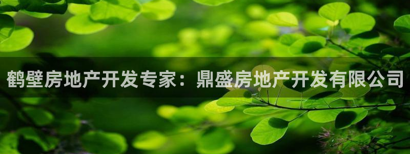 万向娱乐