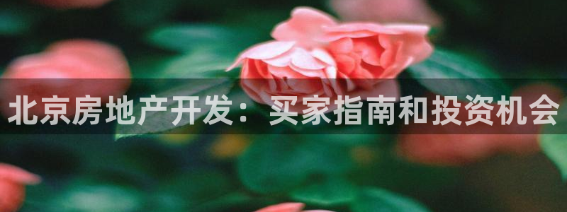 万能娱乐平台直招代理