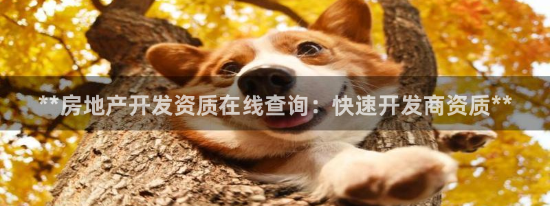 万向娱乐平台招商骗局