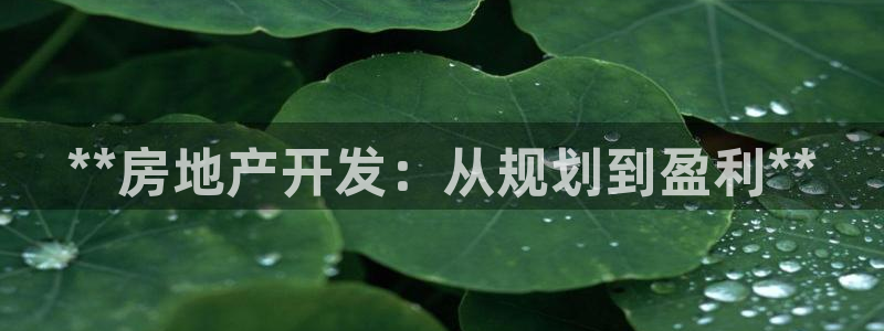万向娱乐官网网址是多少