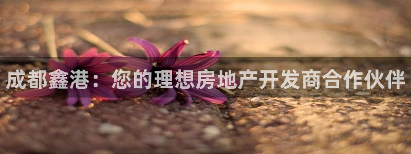 万向娱乐注册登录不上怎么办