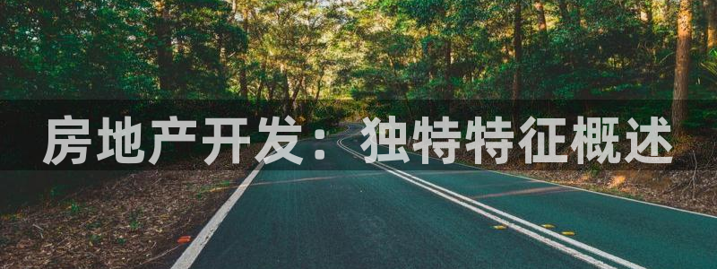 万向娱乐的494o3 主管