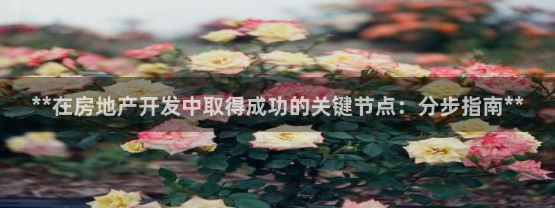 万向娱乐总代