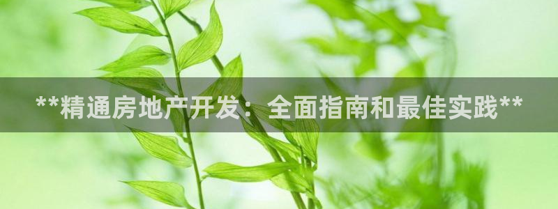 万能娱乐平台直招代理