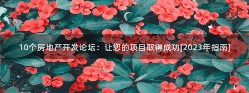 万向娱乐官网网址大全