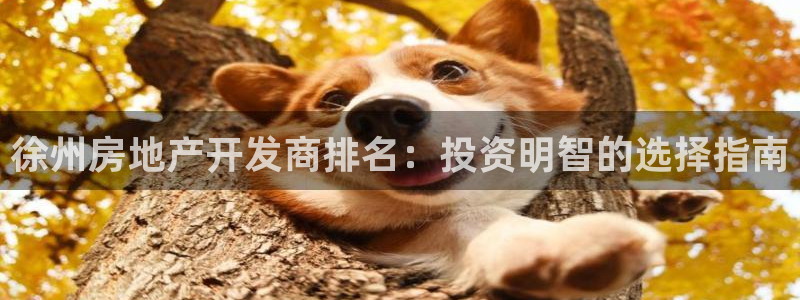 万向娱乐平台代理