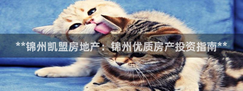 万向娱乐app下载安装