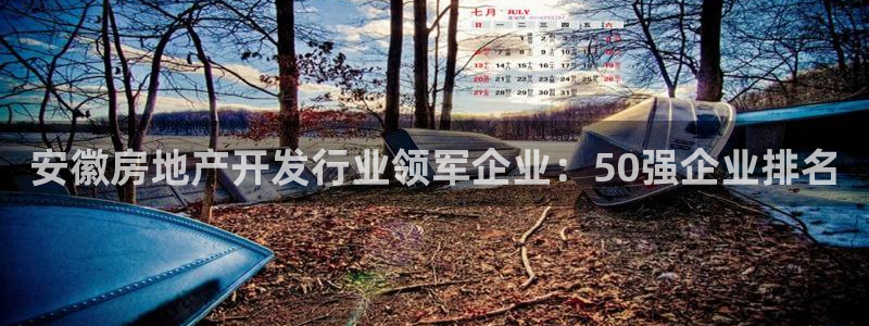 万向娱乐的494o3 主管