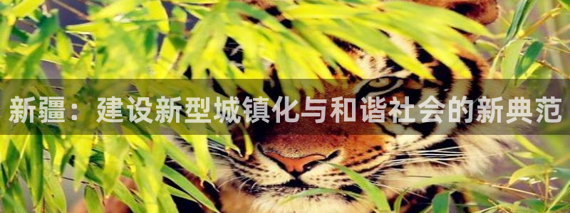 万向娱乐代理好看视频