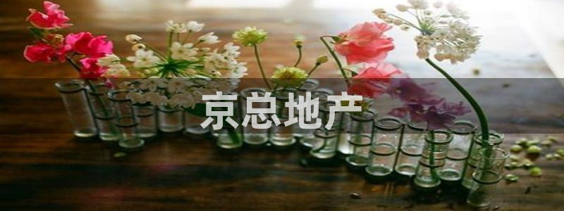 万向娱乐平台注册地址是哪里