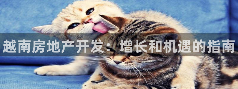 万向娱乐注册登录不上怎么办