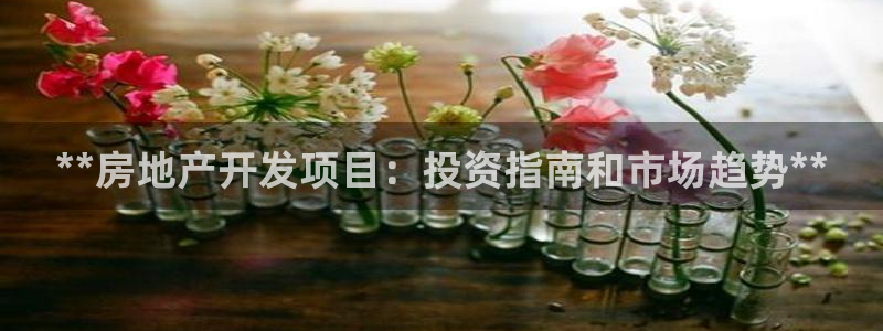 万向娱乐平台代理怎么做的