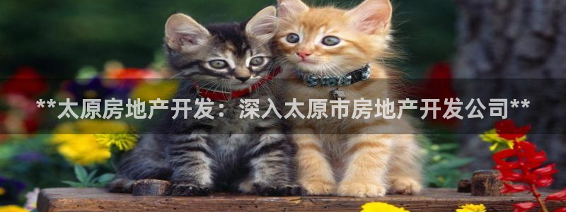 万向娱乐注册登录开户