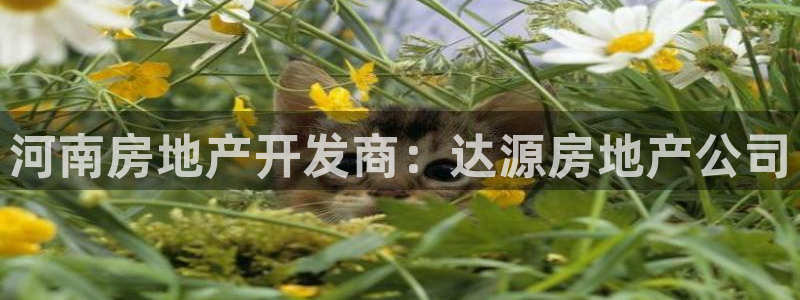 万向娱乐平台代理