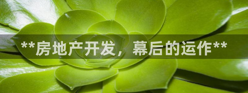 万向娱乐下载