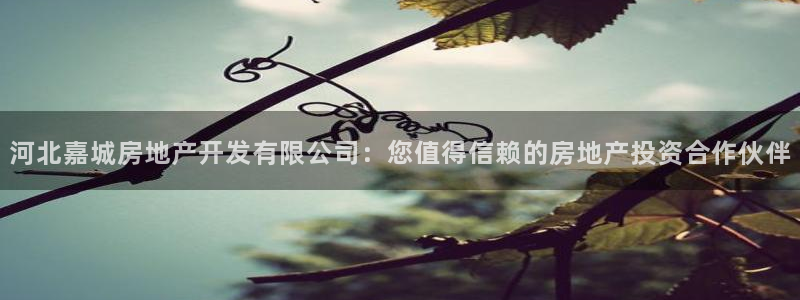 万向娱乐官网网址大全