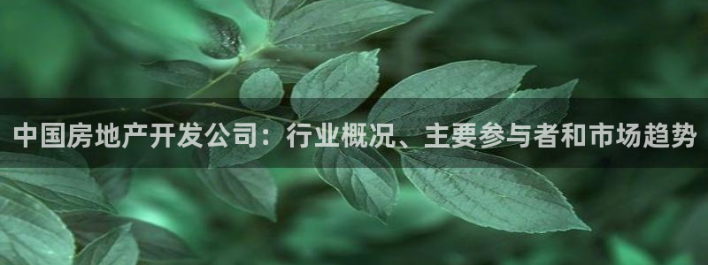 万向娱乐平台代理怎么做的