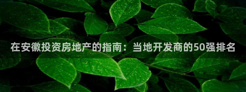 万向娱乐是野鸡台吗