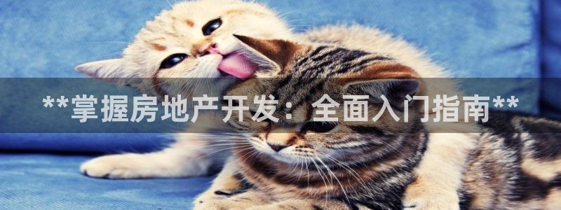 万向娱乐官网网址大全