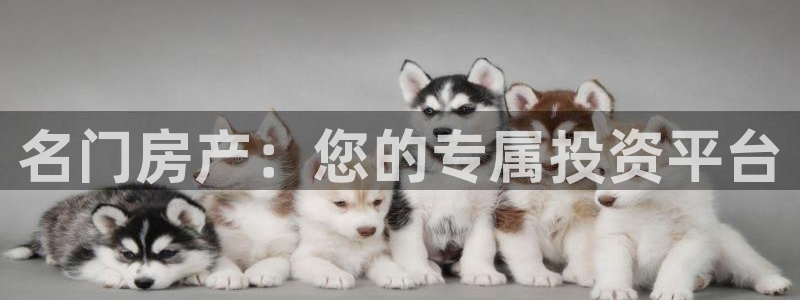 万向娱乐注册资金多少